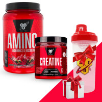 Набір BSN: Амінокислоти Amino X (1 кг) та Креатин DNA (216 г) + Шейкер