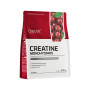 Креатин моногідрат Creatine OstroVit - 300 г